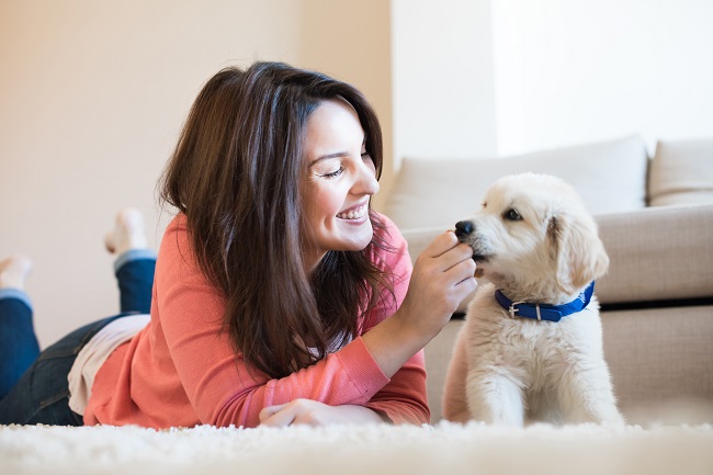 5 HVAC Tips for Pet Owners